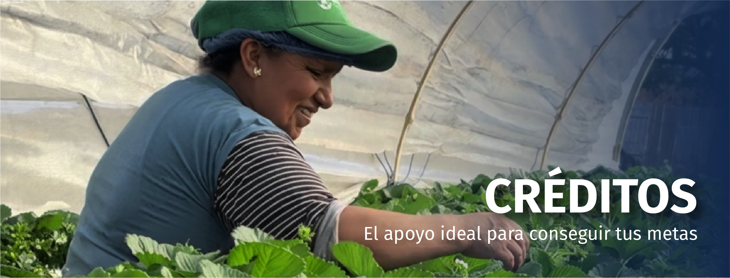 Inicio créditos@3x